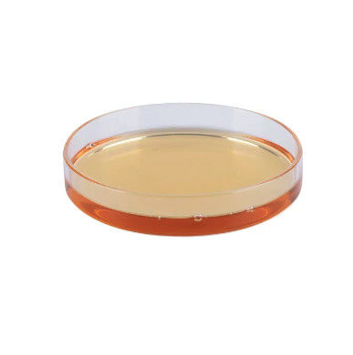 Proteine idrossipropiltrimoniche modificate Proteine del grano idrolizzate Proteine naturali pure Proteine modificate naturali pure